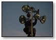 Crane-License-(31).JPG