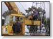 Crane-Training-(42)